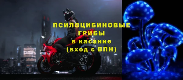 ПСИЛОЦИБИНОВЫЕ ГРИБЫ Алзамай
