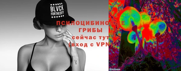 хмурый Абаза