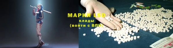 ПСИЛОЦИБИНОВЫЕ ГРИБЫ Алзамай