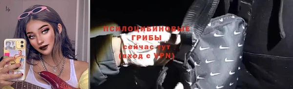 хмурый Абаза