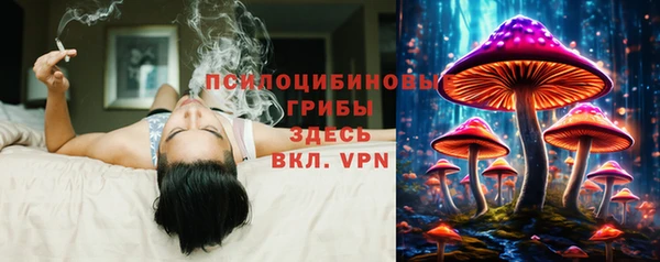 хмурый Абаза